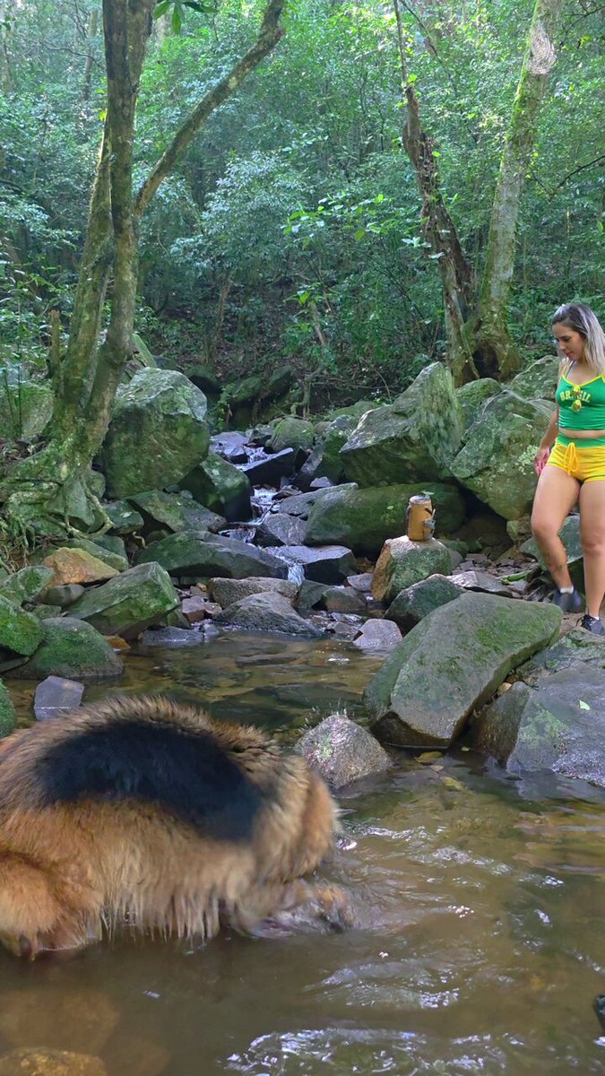Brazilian Adventure ASMR