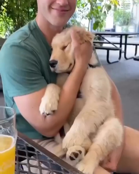 they are our best friends 🥰