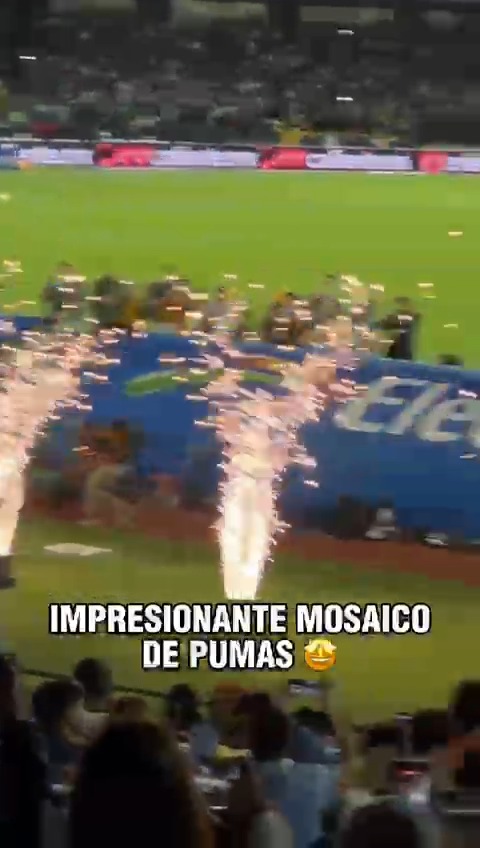¡ESTO ES PUMAS! 🙌 Tremendo mosaico de la afición AURIAZUL.