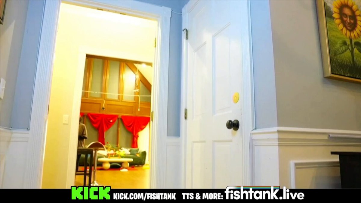 BASHIR BACK #fishtanklive fishtank