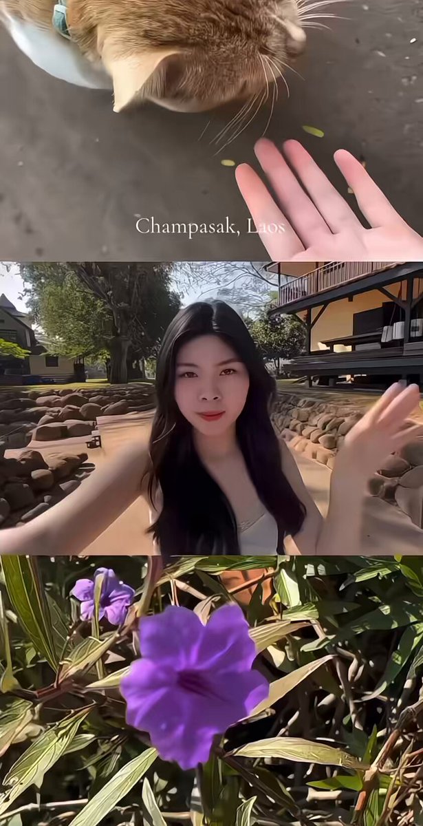 𝐇𝐞𝐥𝐥𝐨 𝐰𝐞𝐥𝐜𝐨𝐦𝐞 𝐭𝐨 𝐜𝐡𝐚𝐦𝐩𝐚𝐬𝐚𝐤🤍 #ໄປມາລະເດີຫາກະລົງ555ສະຖານີຕໍ່ໄປຫລວງພະບາງ😂