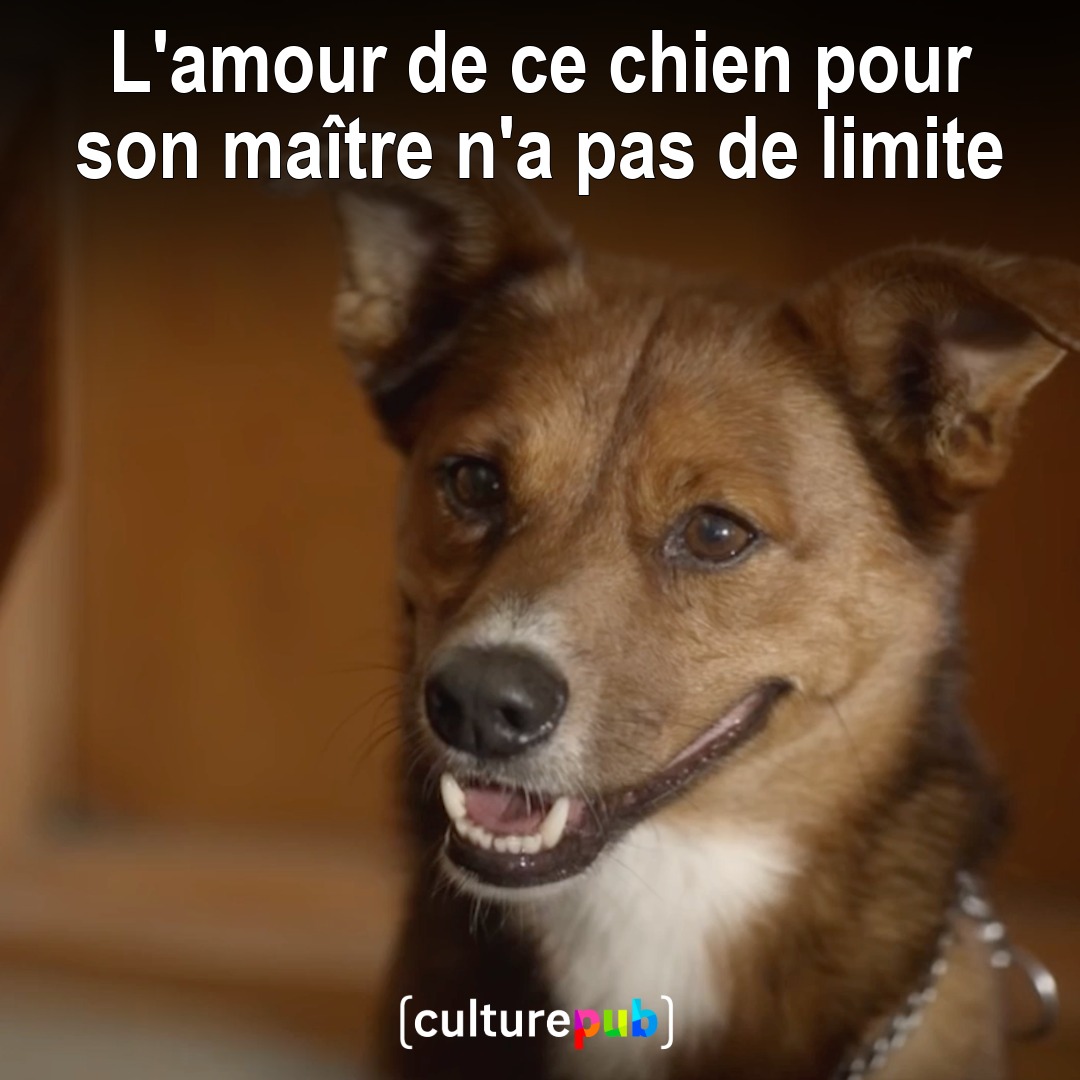 Qui est-ce qui coupe des oignons ? 🥹🥲 #InstantMignon #CulturePub