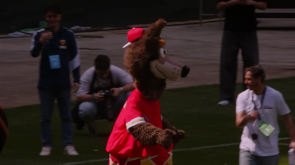 😉 No se ha lesionado... ¡Es que Súper Boke tiene 𝐝𝐞𝐦𝐚𝐬𝐢𝐚𝐝𝐚 𝐜𝐚𝐥𝐢𝐝𝐚𝐝! LALIGADELASMASCOTAS | Málaga CF