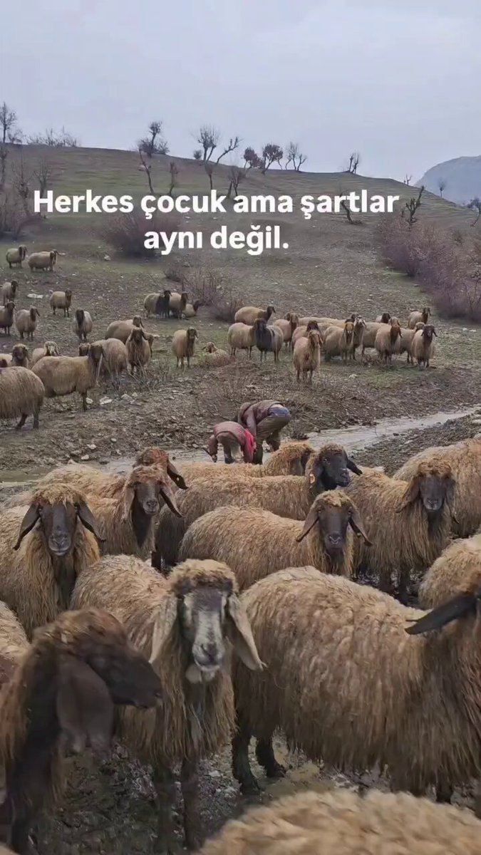 Herkes çocuk ama şartlar aynı değil!