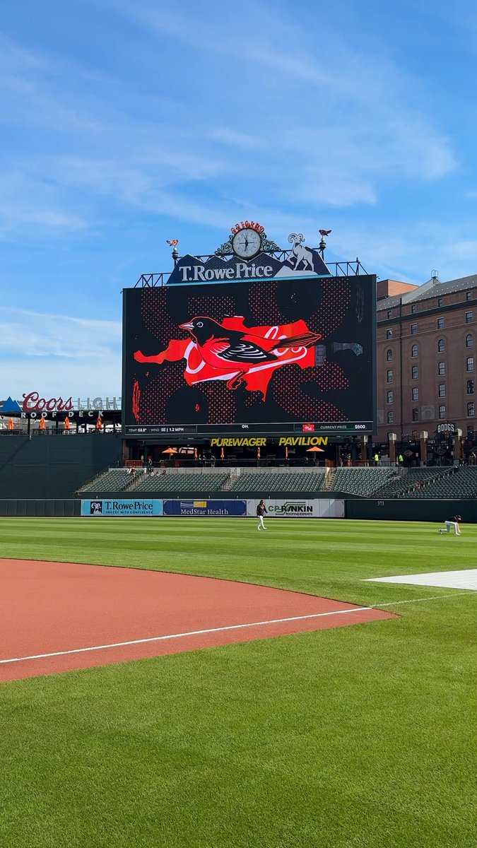 Ain’t she a beaut!