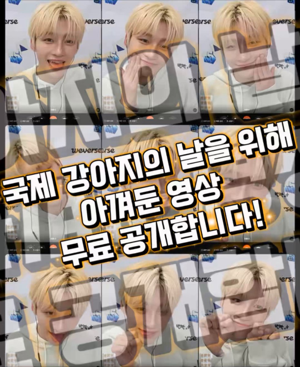 국제 강아지의 날 강아지훈 🐶 #TWS #투어스 #JIHOON #지훈 #ジフン