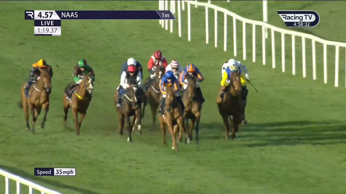 Exciting filly! Drop Dead Gorgeous (Dubawi x You'resothrilling) is a half-sister to the likes of Gleneagles and Marvellous and strikes on debut in a treble today for Ryan Moore and Aidan O'Brien Naas Racecourse