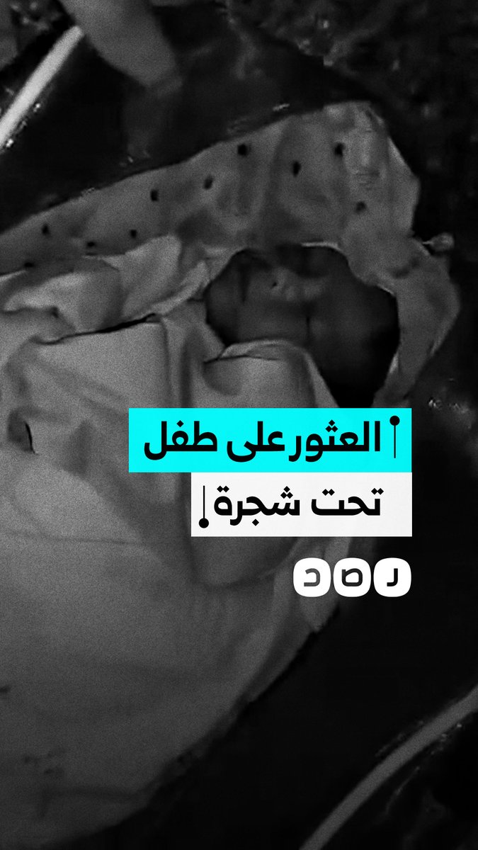 طفل مجهول الهوية يُعثر عليه تحت شجرة في شارع الغابة بالإسماعيلية