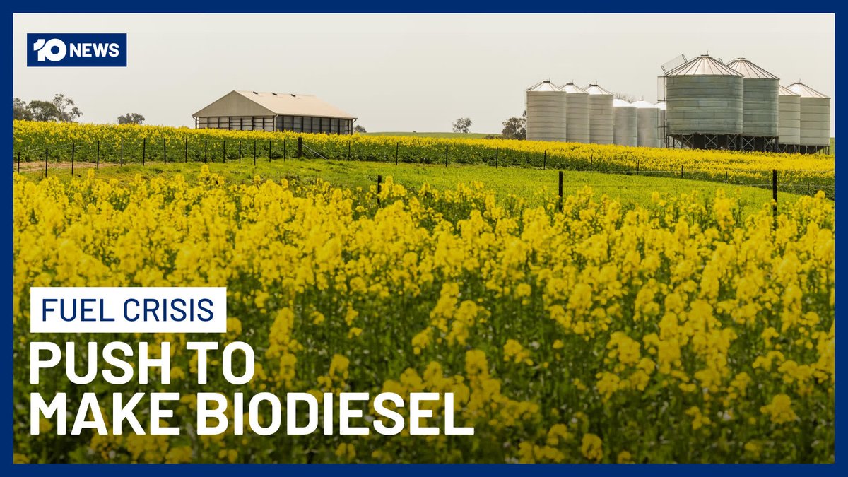 As motorists continue to battle service station shock, the agricultural industry is asking one question: why don't we farm more fuel? Most canola grown in Australia is shipped offshore to Europe to be made into biofuel at a time the nation is desperate for its own liquid gold.
