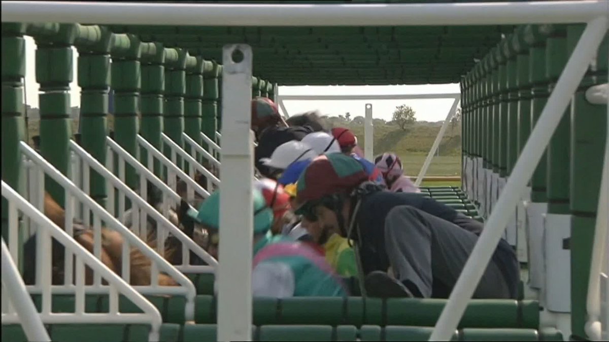 Looking back at it, Frankel’s Guineas win was absolutely ridiculous How many horses could keep that tempo up for so long?