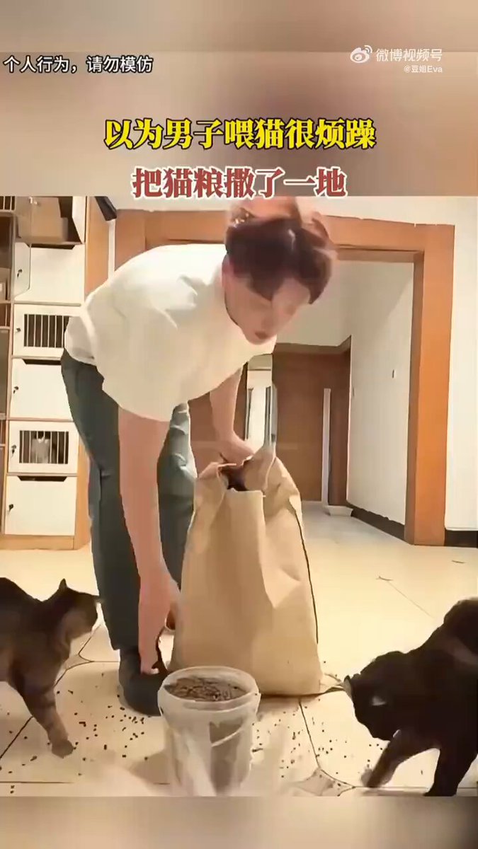 以为男子喂猫很烦躁，把猫粮撒了一地，结果一开门我震惊了……I thought the man was annoyed while feeding the cat and had spilled cat food all over the floor, but when I opened the door, I was shocked……