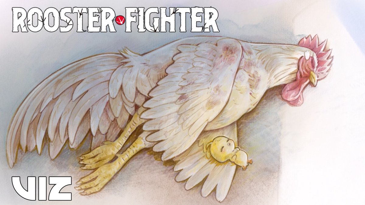 Nothing like water and a few worms to nurse you back to health 💪🪱 Rooster Fighter is streaming now on Hulu and Disney+