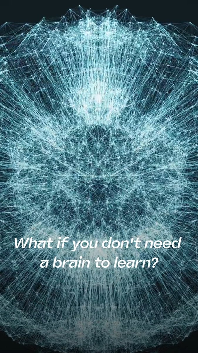Brains don't create memory. They scale it. New evidence: single cells, synthetic gels, and neurons on chips all show learning and memory — without a brain in sight.
