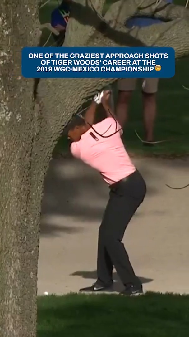 Tiger the artist 🎨 #TOURVault