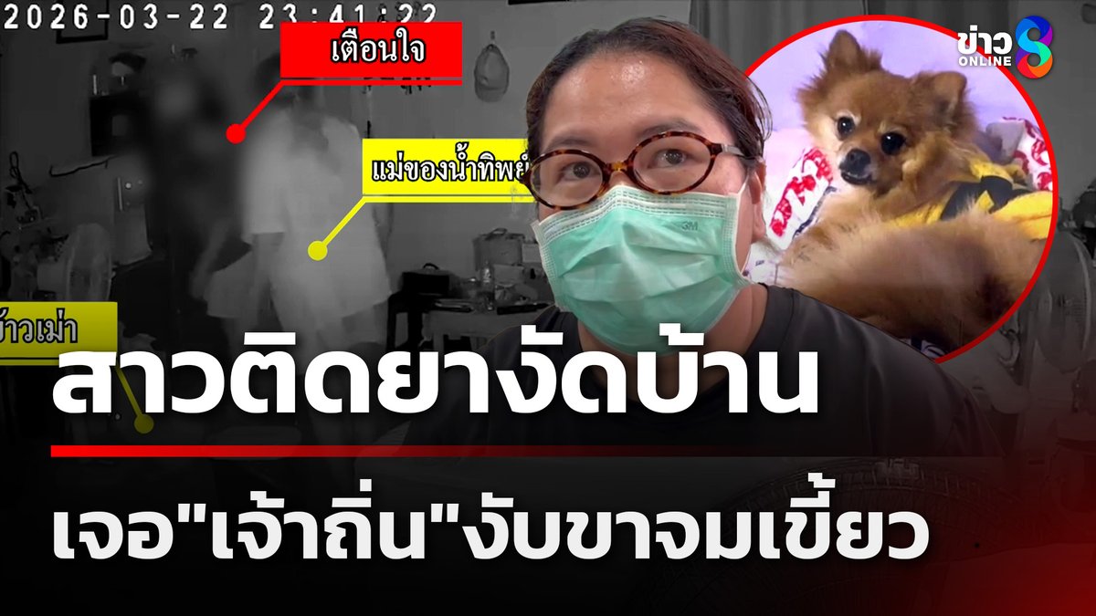 นาทีระทึก! สาวติดยาเพิ่งถูกปล่อยตัว บุกงัดห้องนอนหวังชิงทรัพย์ แต่เจอ "สุนัข" กัดจมเขี้ยวเผ่นหนีไม่คิดชีวิต #ข่าวเช้าช่อง8 #งัดบ้าน #ติดยา #ภัยสังคม #หมาแสนรู้ #ขโมยขึ้นบ้าน #ข่าววันนี้ #ข่าวช่อง8 #ข่าวช่อง8ที่นี่ของจริง #ข่าวออนไลน์ช่อง8