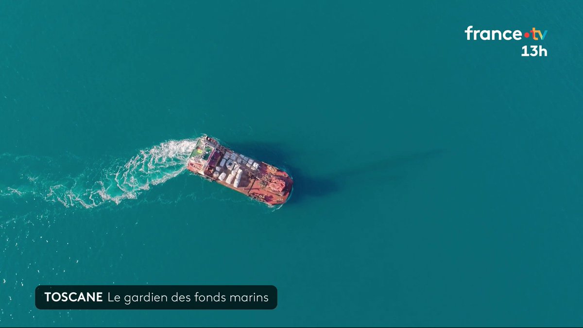 🐡 Ce pêcheur a trouvé la solution contre la pêche intensive : immerger des sculptures en marbre. Obstacles infranchissables pour les chalutiers, ces blocs deviennent aussi des refuges pour les poissons. 📺 Raphaële Schapira, Marion Huguet, Silvia, V.Parent, Lorenza Pensa