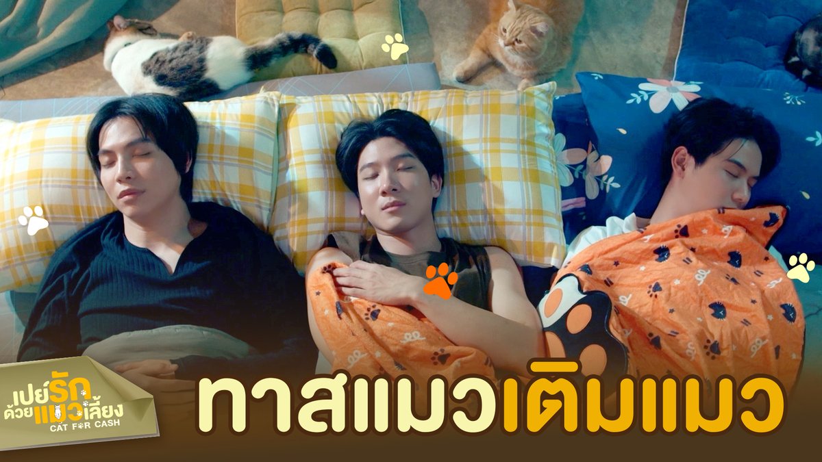 เมื่อเหล่าทาสแมวนอน ‘เติมแมว’ ไปด้วยกัน #CatForCashFinalEP “เปย์รักด้วยแมวเลี้ยง”🐈🐾 รับชมย้อนหลังครบทุกตอนทางแอปพลิเคชั่น TrueVisions NOW เท่านั้น #CatForCash #GMMTV First.kp khaotungg Satang