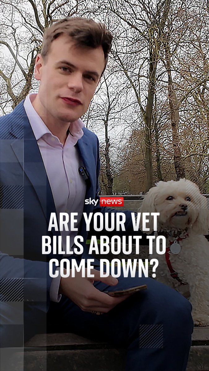 A price cap will be placed on pet prescriptions, the Competition and Markets Authority has announced following a three-year investigation. Sky News' Barnaby Papadopulos spoke to veterinarians and owners to understand what impact this will have. Read more: