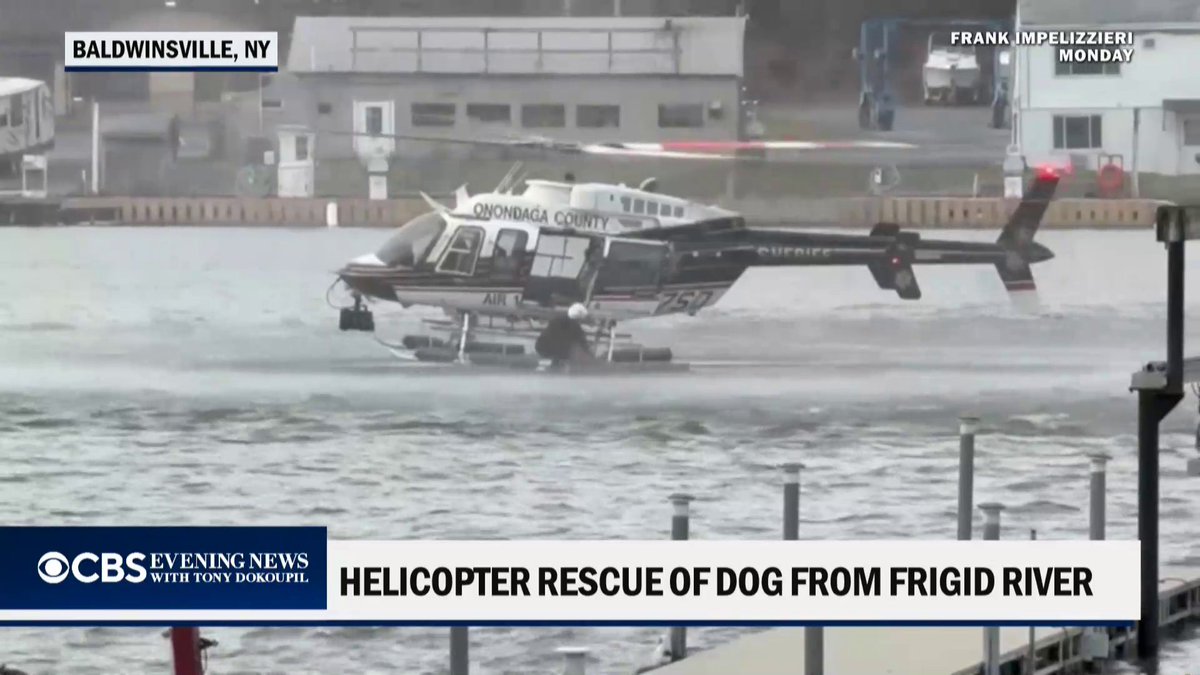 Police used a helicopter to rescue Cooper the goldendoodle after the dog was seen struggling to stay afloat in the freezing Seneca River near Syracuse, New York.