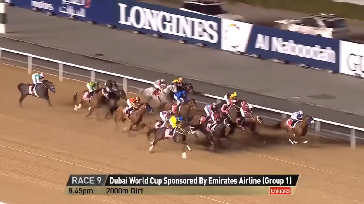The 2017 Dubai World Cup: When Breeders' Cup Classic champion Arrogate left us all speechless. 🤯 🎥 DRC Meydan