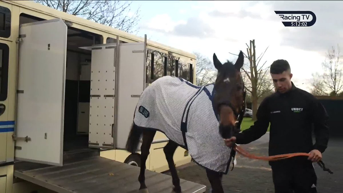 He's arrived! 💫 #ConstitutionHill | Rishi Persad | Kempton Park Racecourse