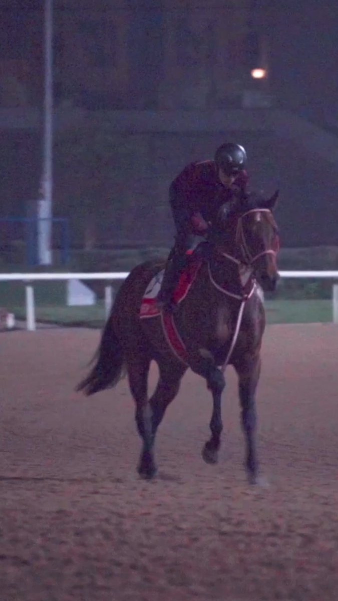 Mornings with the champ #フォーエバーヤング 📸: World Horse Racing