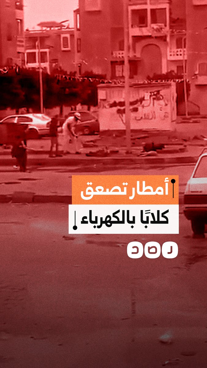 مواطن ينقذ كلابًا تعرضت لصعق كهربائي بعد ملامسة أعمدة الإنارة في المطر