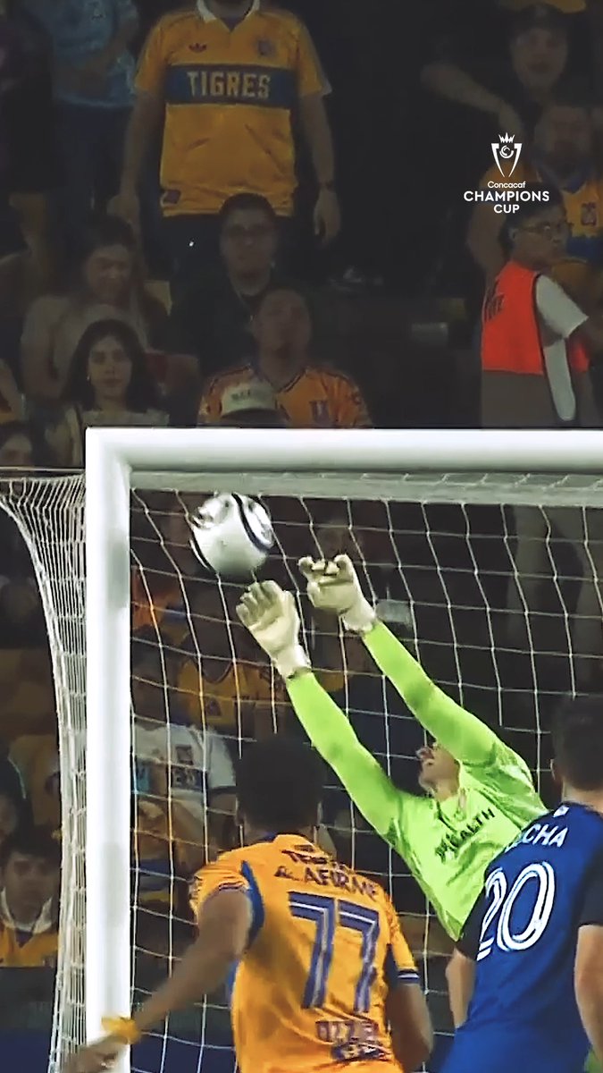 Tigres y el arte de hacer golazos ⚽️🖌️