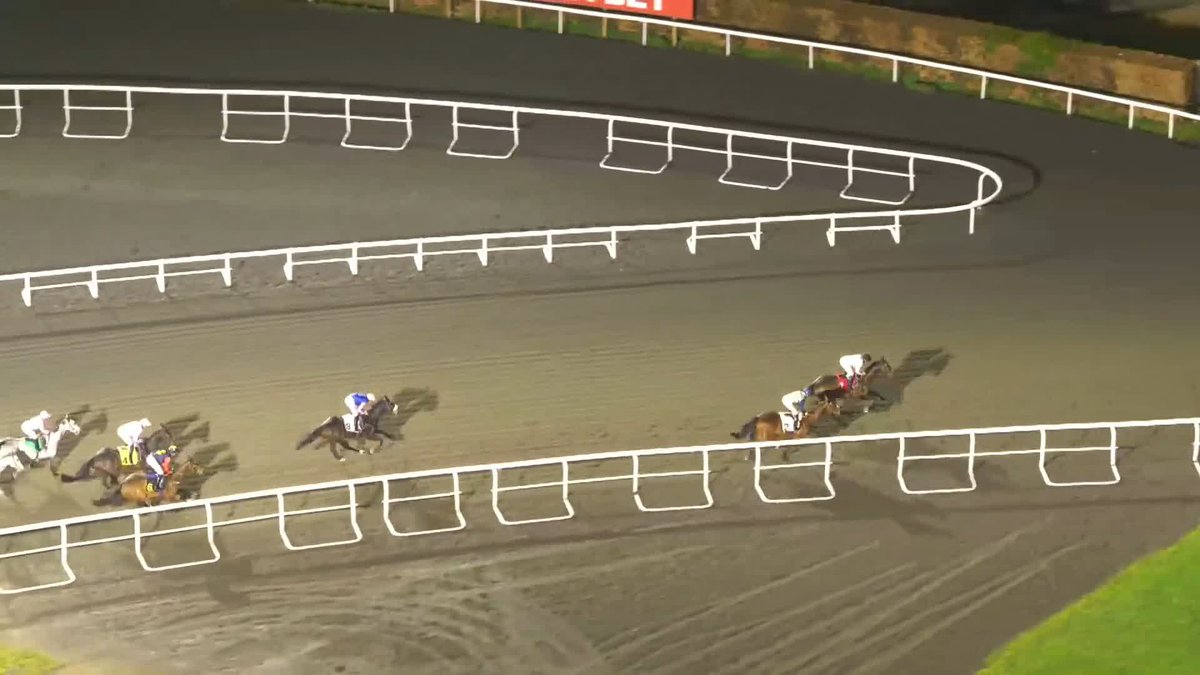 ⚫️⚪️ This is such a cool view of Constitution Hill’s win last night; you’ll get a true sense of how easily won and how quick he was moving. What a joy it was to be at Kempton Park Racecourse: CH the most popular horse since Frankel, without a shadow of doubt.