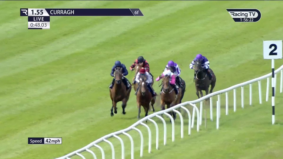 The 2000 Guineas Fav is back in action! 🔥 Aidan O'Brien has declared ALBERT EINSTEIN in the Gladness Stakes on Saturday over 7f on "Soft to Heavy" ground. The hype machine is the 4-1f for the first Classic of the year at Newmarket in 37 days time.