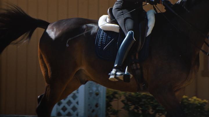 Untold: The Shooting at Hawthorne Hill premieres April 21. A retired Olympic equestrian and his new dressage student set off a feud that culminates in a shocking act of violence and a trial that rocked the world of the sport...