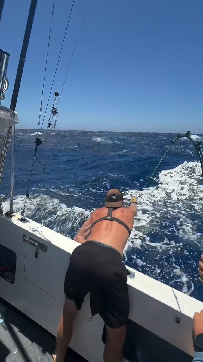 You can ice bath at sunrise, talk about mental toughness, and swear you’re built different… but none of that matters when 400 pounds of blue water chaos decides you’re just another soft-handed liability. Credit: Leigh Mitchell