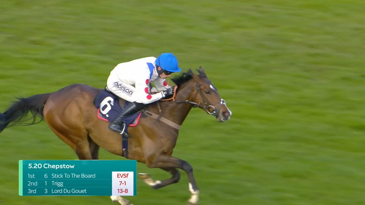 "We've always liked him." Paul Nicholls OBE provided some winning reaction after Stick To The Board put up a smart display on rules debut...