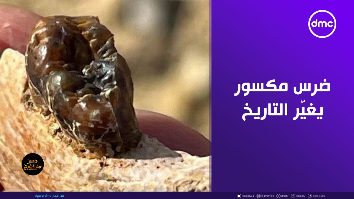 قالوا نشأت في شرق إفريقيا والحقيقة إنها نشأت هنا في مصر "سلالة القردة العليا" كشف علمي عالمي يغير التاريخ باسم "جامعة المنصورة" #نور_العلم #احمد_فايق #dmc