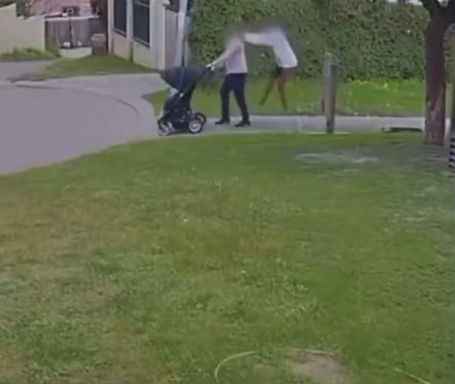 🔥 BREAKING 🔥 Black woman attacks White woman & her baby in broad daylight. It is normal for White people not to feel safe around these people. We are not ‘racist’ we don’t care about your skin colour, we FEAR you because of your actions & behaviour. We watch as our people are terrorised in our communities, harmed & killed by YOU. We simply observe a pattern of behaviour, read the stats, see the evidence & witness firsthand what is happening. We tried to live with you but you made it impossible. We cannot coexist. White people deserve to feel safe & secure in our own homelands. As a child I’d see the world vision ads & be heart broken so I would donate my pocket money wanting to help these people & I’d do the 40 hour famine every year to raise money for them. Now I sleep with one eye open & live in fear because of them. We tried to help you, love you & you threw our kindness back in our faces & are r*ping & slaughtering our people. Enough is enough! Remigration & mass deportations!