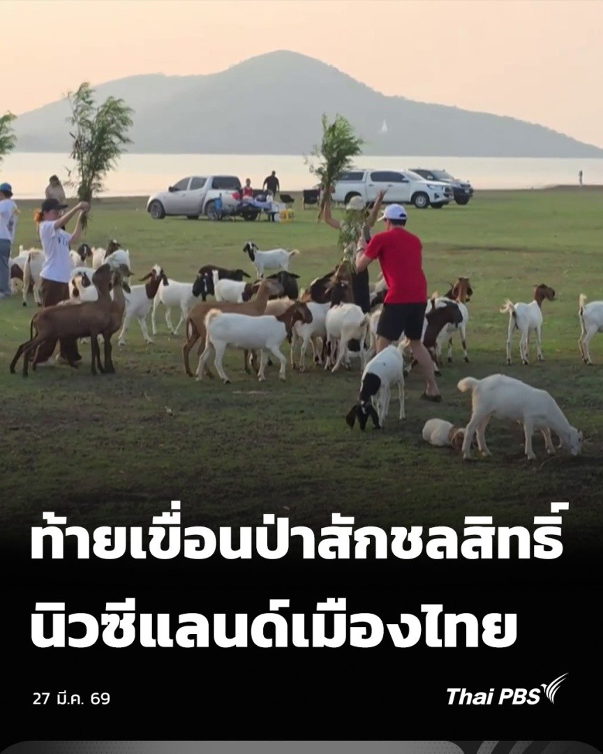 ท้ายเขื่อนป่าสักชลสิทธิ์ นิวซีแลนด์เมืองไทย | วันใหม่ ไทยพีบีเอส ท้ายเขื่อนป่าสักชลสิทธิ์ จ.ลพบุรี ฤดูแล้งของทุกปี ระดับน้ำในเขื่อนจะลดลงต่ำกว่าร้อยละ 40 ของความจุ ส่งผลให้พื้นที่บริเวณนี้กลายเป็นทุ่งหญ้ากว้างใหญ่สีเขียวขจีสุดสายตา ได้รับฉายา "นิวซีแลนด์เมืองไทย" #ThaiPBS