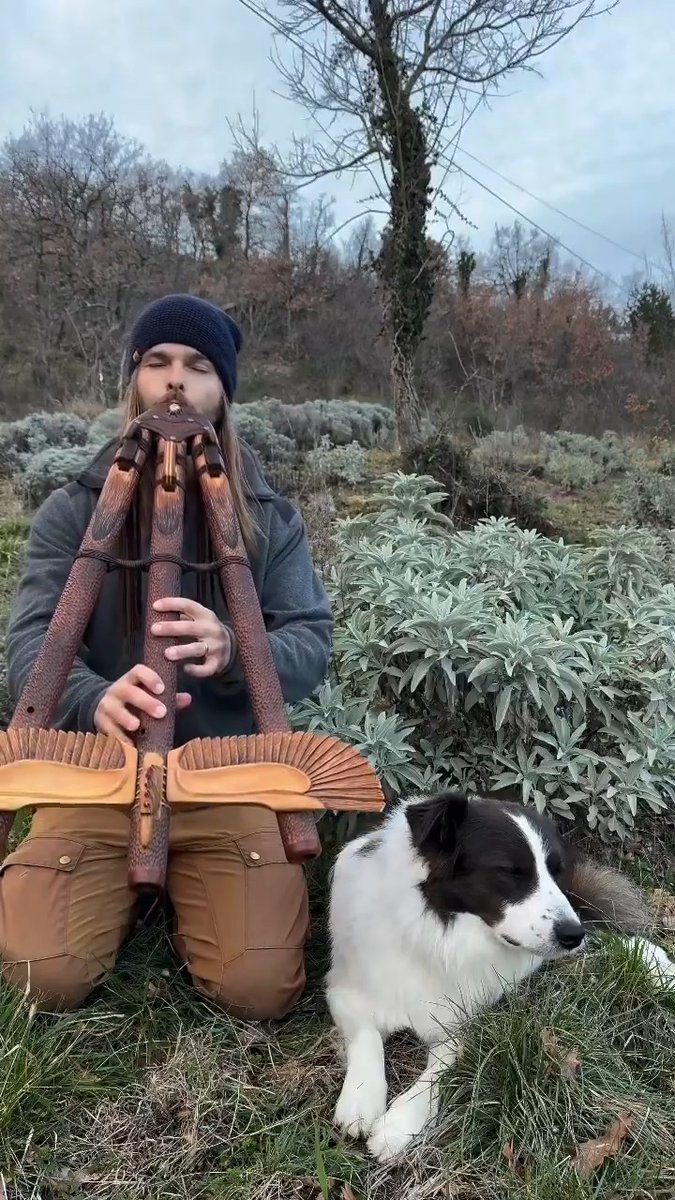 Listen, breathe and relax 🧘🏻 Triple drone flute by Luka Lešnik 🎶
