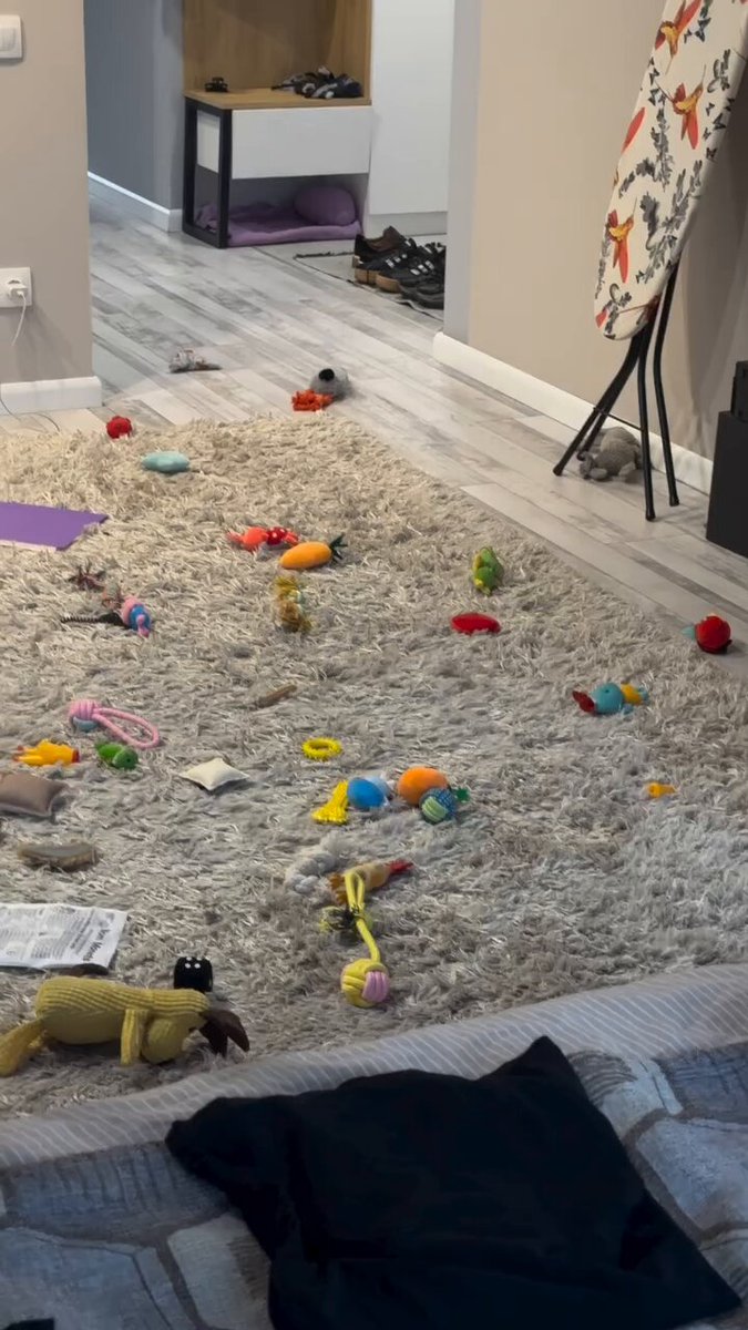 Zoomies! 😂