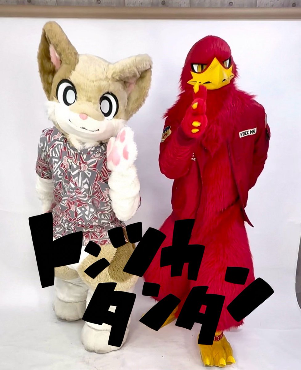 トンツカタンタン？？？？？？ #FursuitFriday #パリコレ