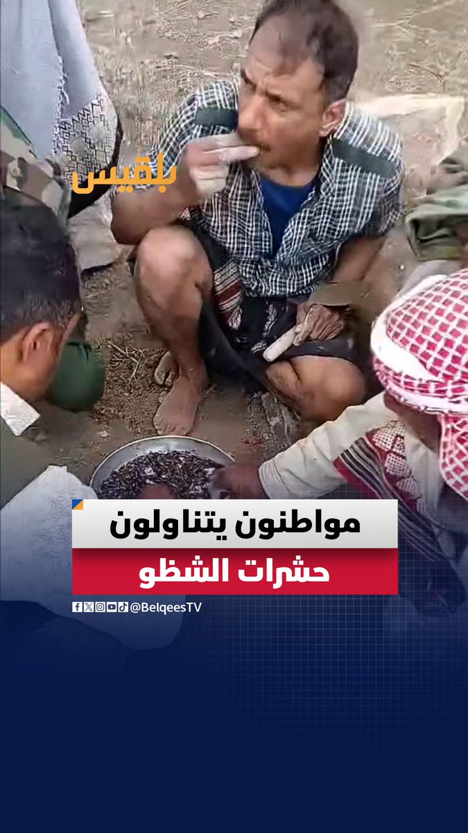 الشظوة حشرة تظهر بعد المطر يجمعها الكثير من اليمنيين ويطبخونها ثم يأكلونها ويعتبرون المطر موسم لها ..ماذا تطلقون عليها في منطقتكم ؟ هل سبق وأن تناولت منها؟