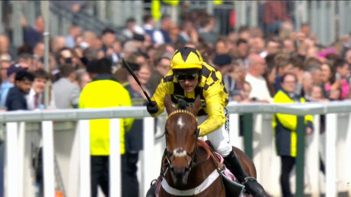 🗣"A totally and utterly unique talent, a fantastic racehorse" Luke and Meg pay tribute to Sir Gino 💛🖤 #ITVRacing | Luke harvey | Megan Nicholls