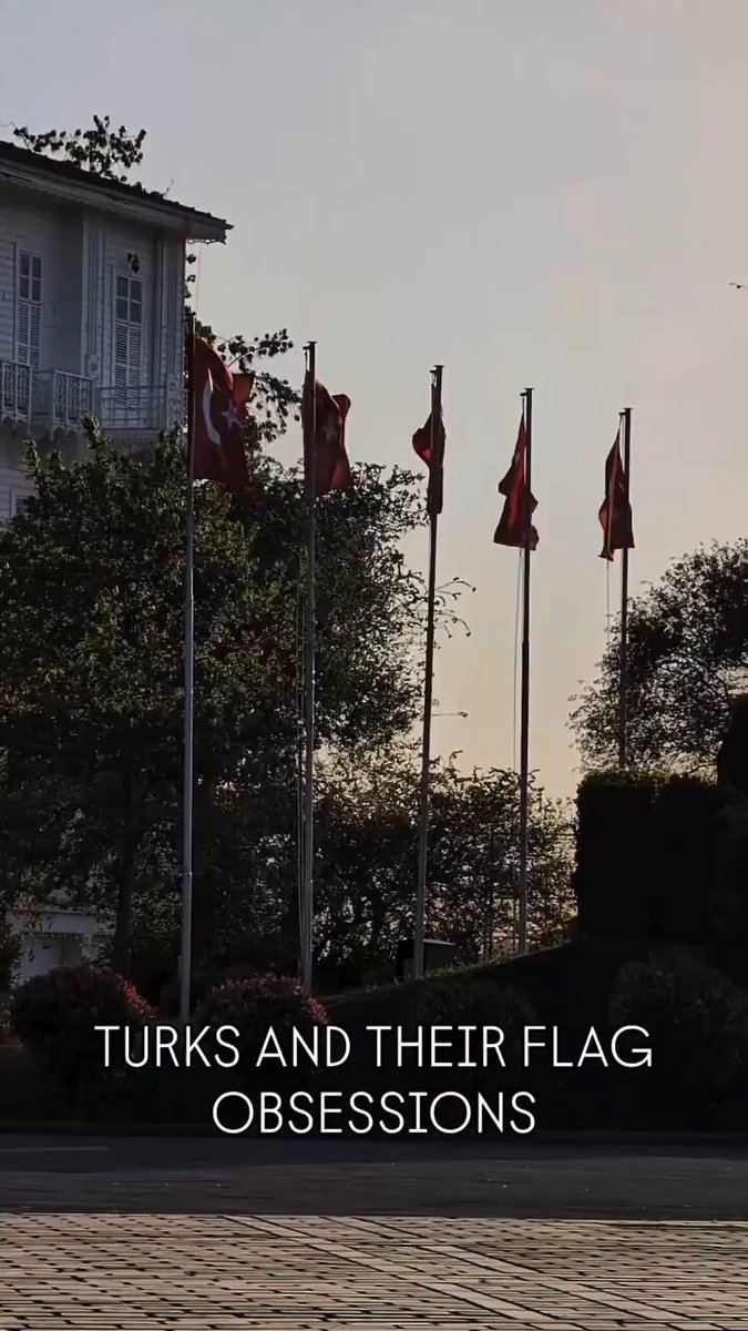 Yurtdışında viral olan “Türkler ve onların bayrak takıntıları“ başlıklı o video