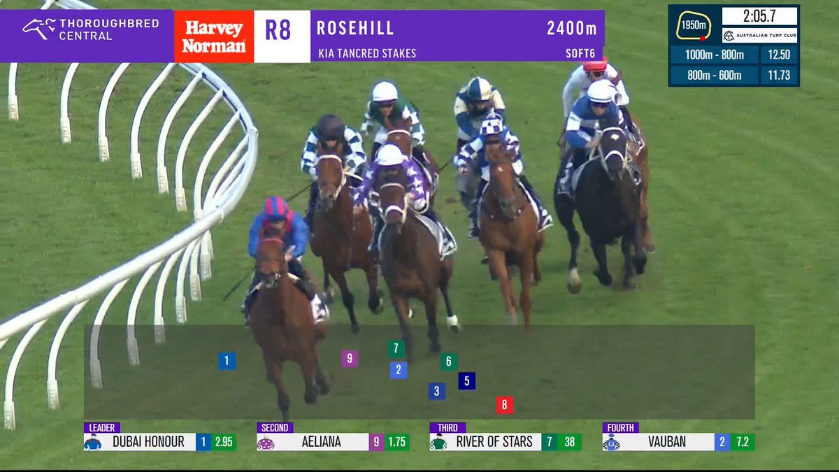 Wow! 😮 A race to remember in the G1 Tancred Stakes, with Aeliana digging deep to get the win, as she nails the Ranvet-Tancred G1 double! 💪 James McDonald Chris Waller Racing Star Thoroughbreds