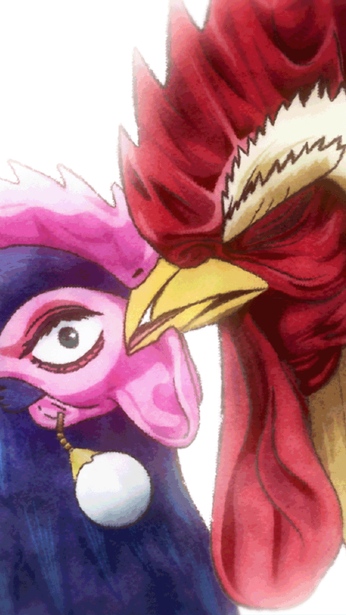 A lover and a Rooster Fighter