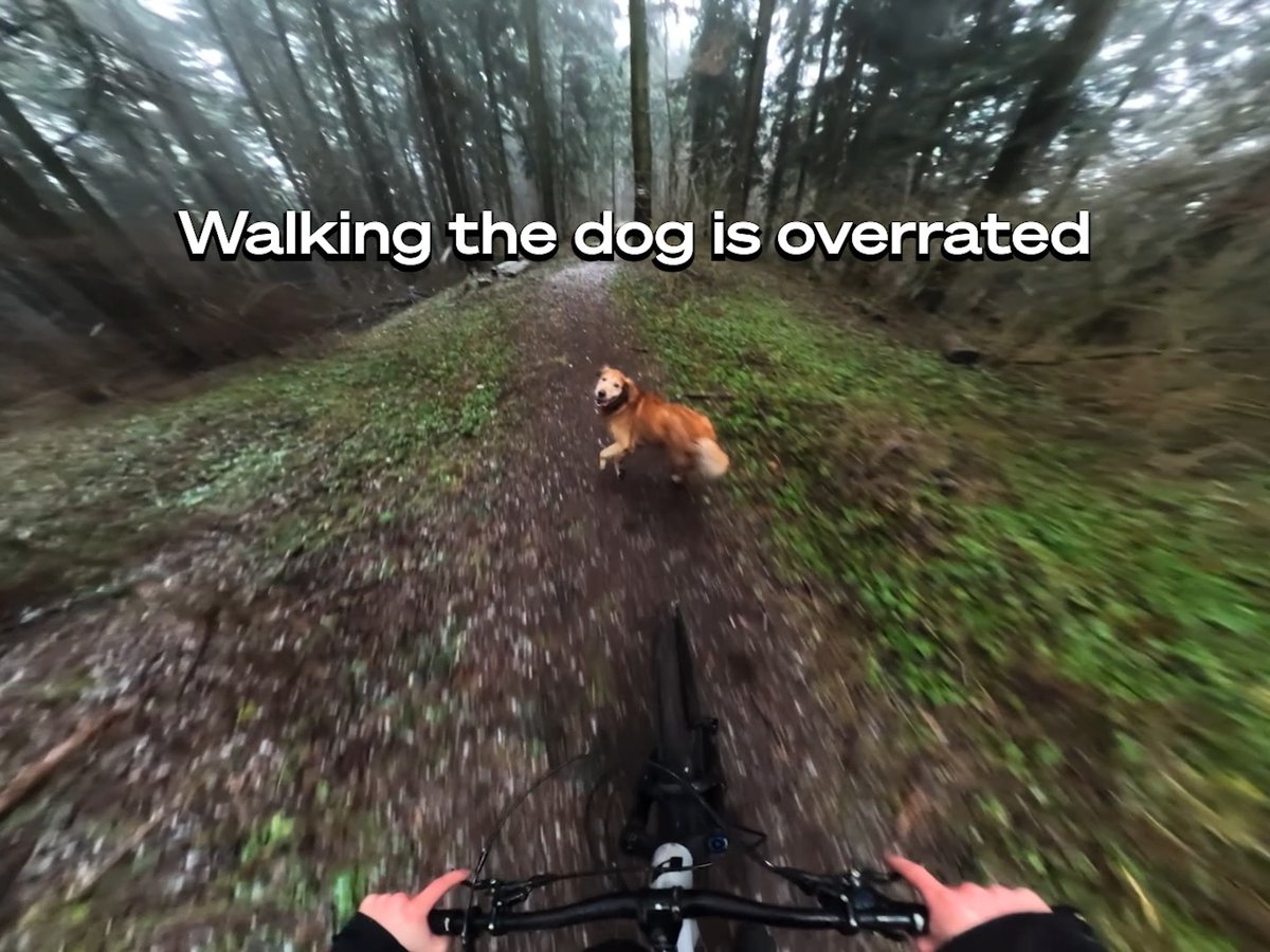 The best trail buddy there ever was 🐕 POV from $500 GoPro award recipient Jakub Spiechowicz's #GoProHERO12 Black. #GoPro #MTB #Bike #POV