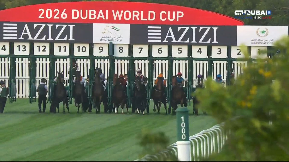 🇯🇵 鮫島克駿騎手のルガルは惜しくも2着！！！ 🇦🇪 直線1200mのG1・アルクオーツスプリント。日本のルガルが積極果敢に先頭に並びかける中、人気薄のネイティヴアプローチが最後交わしてG1初制覇。 元ゴドルフィンの地元馬。鞍上はコナー・ビーズリー騎手。 #競馬 #海外競馬