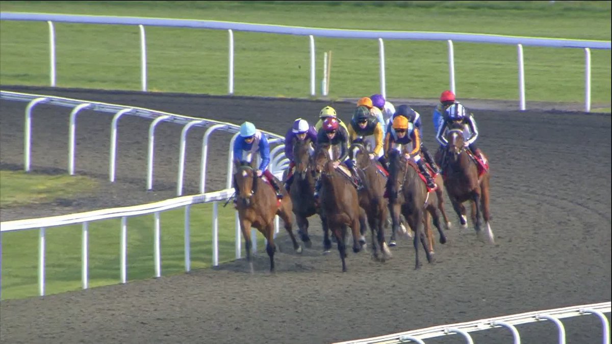 Pina Sonata shows a great attitude to take the Virgin Bet Snowdrop Fillies' Stakes! A win for Dan Muscutt &amp; James Fanshawe