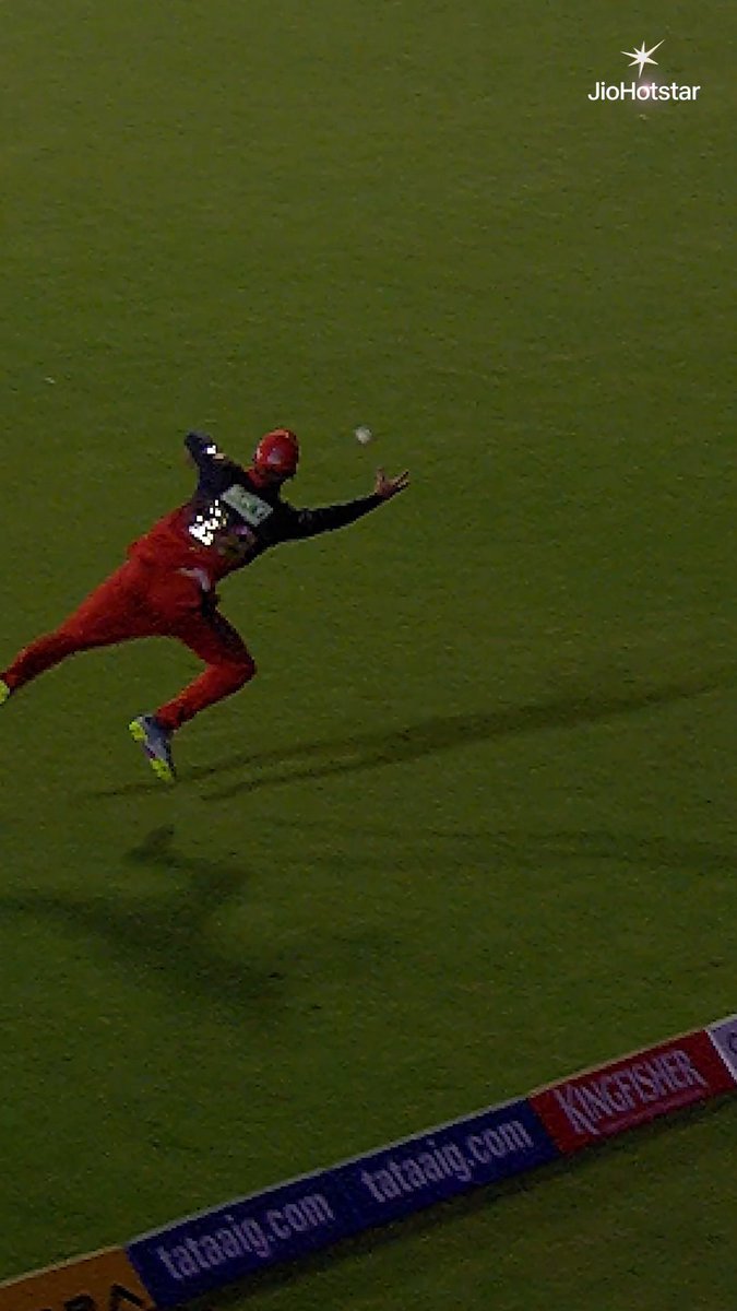 THE SUPERMAN PHIL SALT - ONE OF THE GREATEST CATCH EVER 🥶