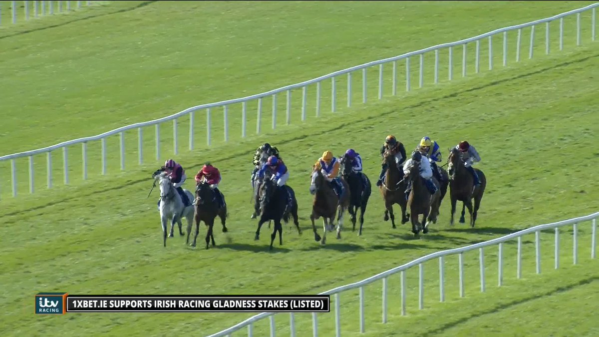 2000 Guineas favourite Albert Einstein BEATEN by 9-year-old marvel Big Gossey over at The Curragh... The team aren't too sure what that means for him for the rest of the season.