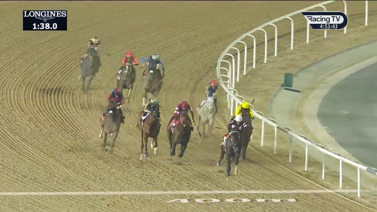 🇺🇸 US raider Magnitude wins the Dubai World Cup #DWC26 | #フォーエバーヤング